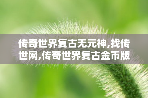 传奇世界复古无元神,找传世网,传奇世界复古金币版,找传世网