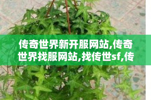 传奇世界新开服网站,传奇世界找服网站,找传世sf,传奇世界找服网站