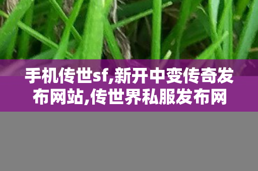 手机传世sf,新开中变传奇发布网站,传世界私服发布网,新开中变传奇发布网站