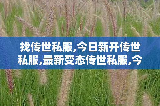 找传世私服,今日新开传世私服,最新变态传世私服,今日新开传世私服