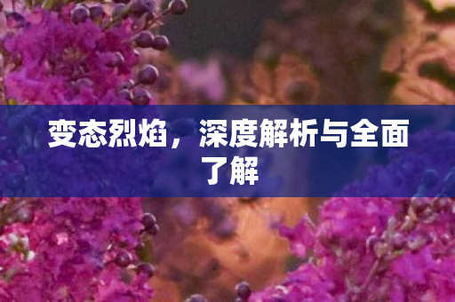 变态烈焰，深度解析与全面了解
