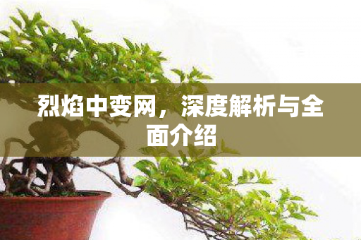 烈焰中变网，深度解析与全面介绍
