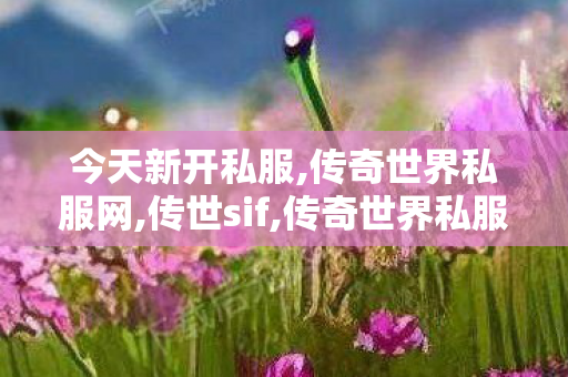 今天新开私服,传奇世界私服网,传世sif,传奇世界私服网