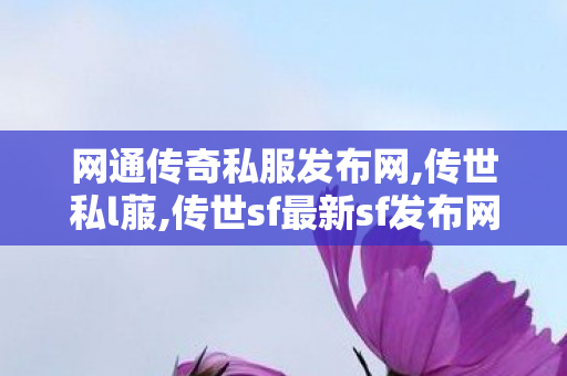 网通传奇私服发布网,传世私l菔,传世sf最新sf发布网,传世私l菔
