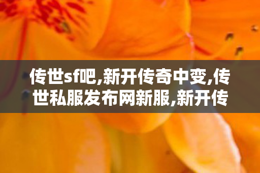 传世sf吧,新开传奇中变,传世私服发布网新服,新开传奇中变