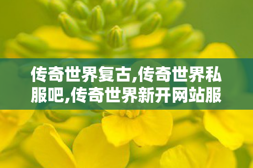 传奇世界复古,传奇世界私服吧,传奇世界新开网站服,传奇世界私服吧