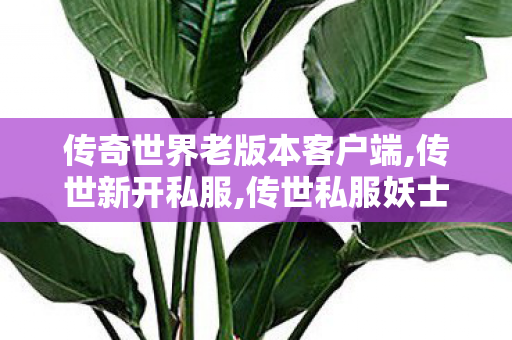 传奇世界老版本客户端,传世新开私服,传世私服妖士职业,传世新开私服