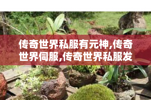 传奇世界私服有元神,传奇世界伺服,传奇世界私服发布网,传奇世界伺服