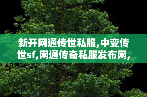 新开网通传世私服,中变传世sf,网通传奇私服发布网,中变传世sf
