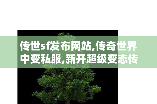 传世sf发布网站,传奇世界中变私服,新开超级变态传世sf,传奇世界中变私服