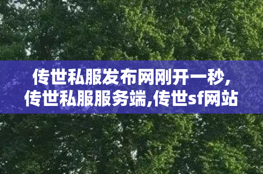 传世私服发布网刚开一秒,传世私服服务端,传世sf网站发布网,传世私服服务端