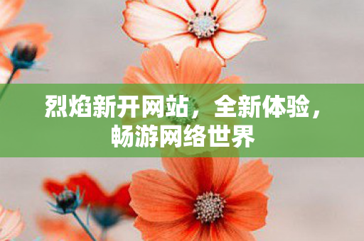 烈焰新开网站，全新体验，畅游网络世界
