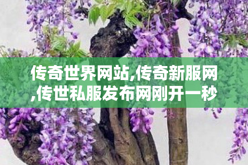 传奇世界网站,传奇新服网,传世私服发布网刚开一秒,传奇新服网