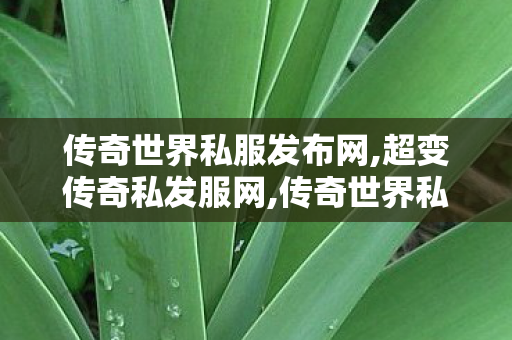传奇世界私服发布网,超变传奇私发服网,传奇世界私服发布网,超变传奇私发服网