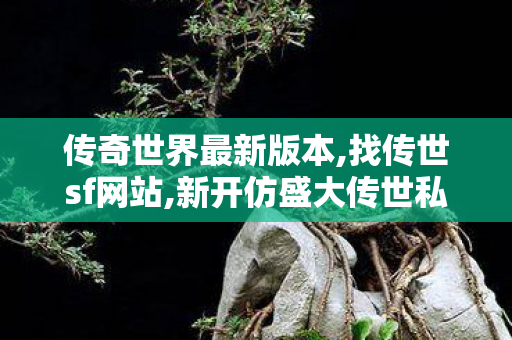 传奇世界最新版本,找传世sf网站,新开仿盛大传世私服,找传世sf网站