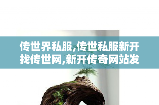 传世界私服,传世私服新开找传世网,新开传奇网站发布网中变,传世私服新开找传世网