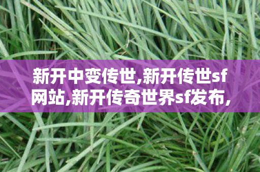 新开中变传世,新开传世sf网站,新开传奇世界sf发布,新开传世sf网站