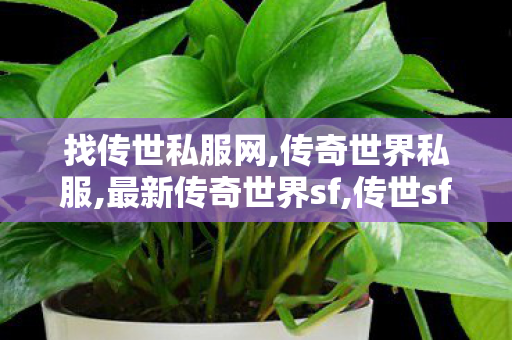 找传世私服网,传奇世界私服,最新传奇世界sf,传世sf发布网,传奇世界私服,最新传奇世界sf