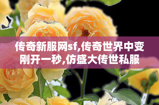 传奇新服网sf,传奇世界中变刚开一秒,仿盛大传世私服,传奇世界中变刚开一秒