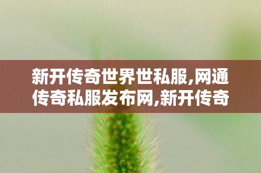 新开传奇世界世私服,网通传奇私服发布网,新开传奇世界私服,网通传奇私服发布网
