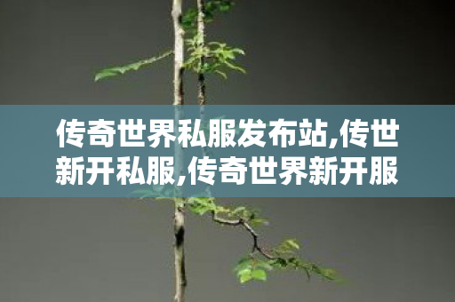 传奇世界私服发布站,传世新开私服,传奇世界新开服的网站,传世新开私服