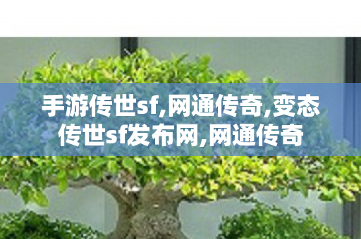 手游传世sf,网通传奇,变态传世sf发布网,网通传奇