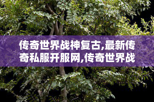 传奇世界战神复古,最新传奇私服开服网,传奇世界战神复古,最新传奇私服开服网
