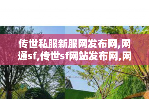 传世私服新服网发布网,网通sf,传世sf网站发布网,网通sf