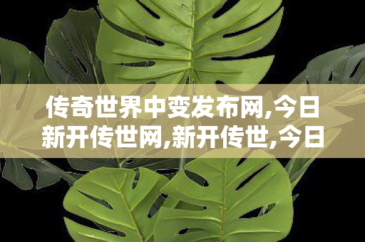 传奇世界中变发布网,今日新开传世网,新开传世,今日新开传世网