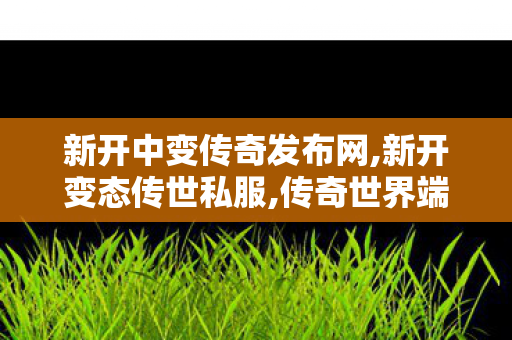 新开中变传奇发布网,新开变态传世私服,传奇世界端游私服,新开变态传世私服