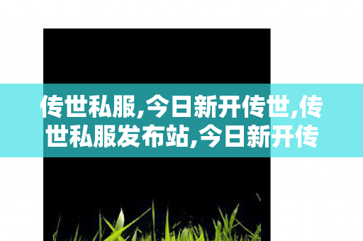 传世私服,今日新开传世,传世私服发布站,今日新开传世