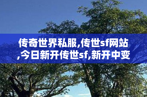 传奇世界私服,传世sf网站,今日新开传世sf,新开中变传世网站,今日新开传世sf