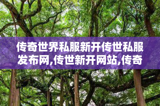 传奇世界私服新开传世私服发布网,传世新开网站,传奇世界新开服的发布网,传世新开网站