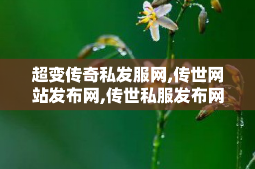 超变传奇私发服网,传世网站发布网,传世私服发布网大全,传世网站发布网