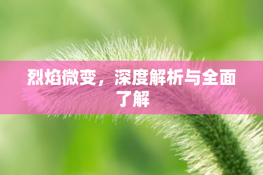 烈焰微变，深度解析与全面了解