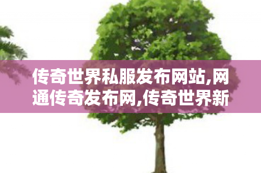 传奇世界私服发布网站,网通传奇发布网,传奇世界新开服的发布网,网通传奇发布网
