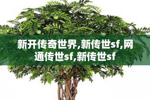 新开传奇世界,新传世sf,网通传世sf,新传世sf
