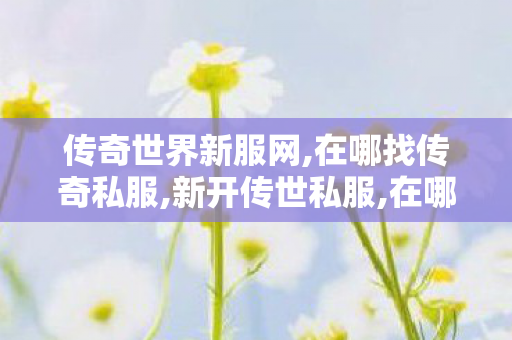 传奇世界新服网,在哪找传奇私服,新开传世私服,在哪找传奇私服