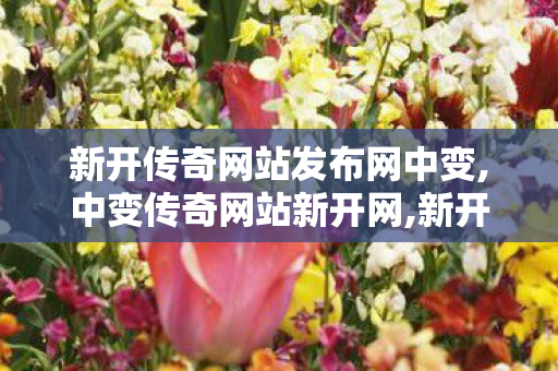新开传奇网站发布网中变,中变传奇网站新开网,新开传世sf 最新开,中变传奇网站新开网