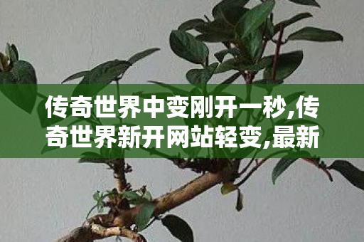 传奇世界中变刚开一秒,传奇世界新开网站轻变,最新传奇私服开服网,传奇世界新开网站轻变