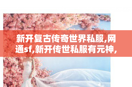 新开复古传奇世界私服,网通sf,新开传世私服有元神,网通sf