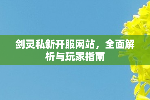 剑灵私新开服网站，全面解析与玩家指南