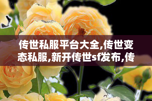 传世私服平台大全,传世变态私服,新开传世sf发布,传世变态私服