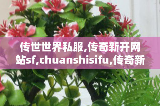 传世世界私服,传奇新开网站sf,chuanshisifu,传奇新开网站sf