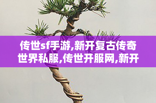 传世sf手游,新开复古传奇世界私服,传世开服网,新开复古传奇世界私服