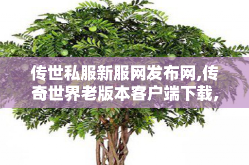 传世私服新服网发布网,传奇世界老版本客户端下载,传奇世界私服,新开传世sf网,传奇世界老版本客户端下载