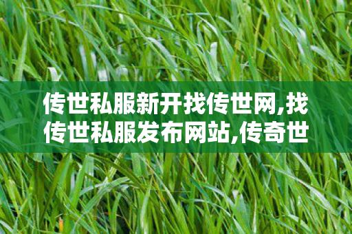 传世私服新开找传世网,找传世私服发布网站,传奇世界私服,传奇世界sf发布网,找传世私服发布网站