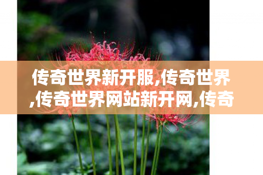 传奇世界新开服,传奇世界,传奇世界网站新开网,传奇世界