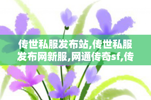 传世私服发布站,传世私服发布网新服,网通传奇sf,传世私服发布网新服
