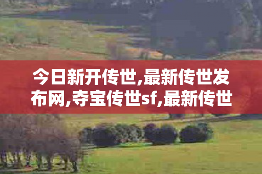 今日新开传世,最新传世发布网,夺宝传世sf,最新传世发布网